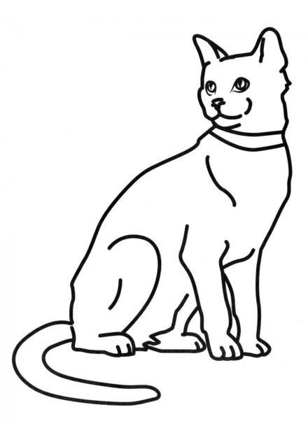 Disegno da Colorare: Gatto Rilassato