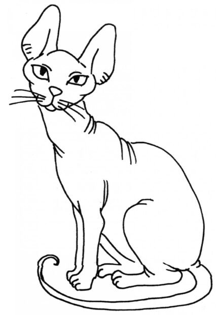 Disegno da Colorare: Gatto Sfinge