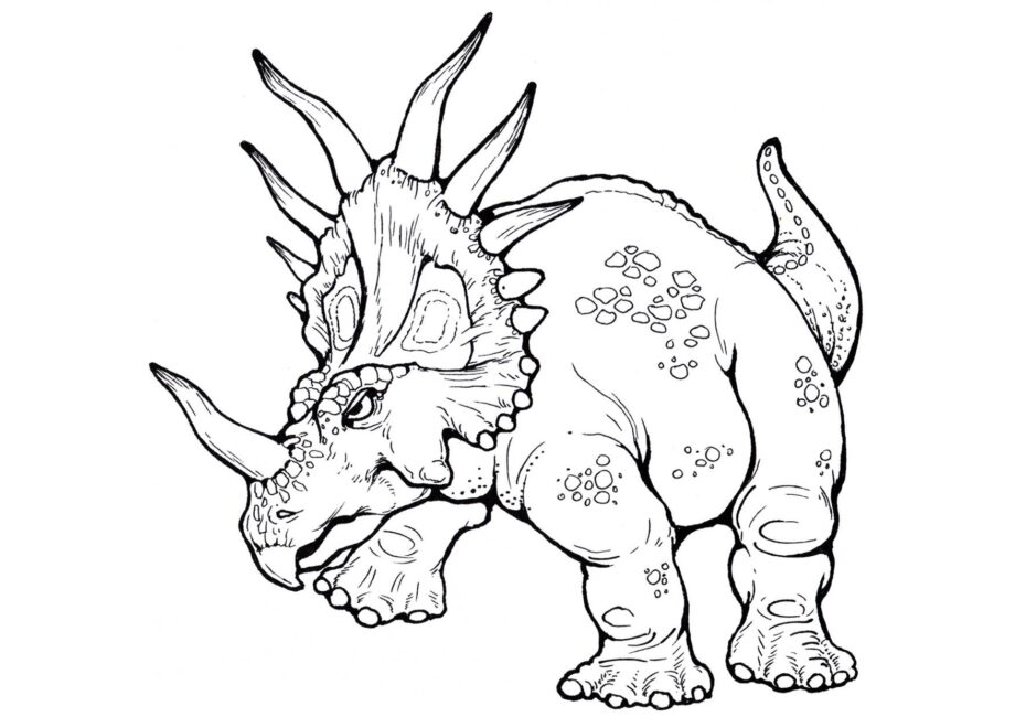 Disegno da Colorare di Styracosaurus