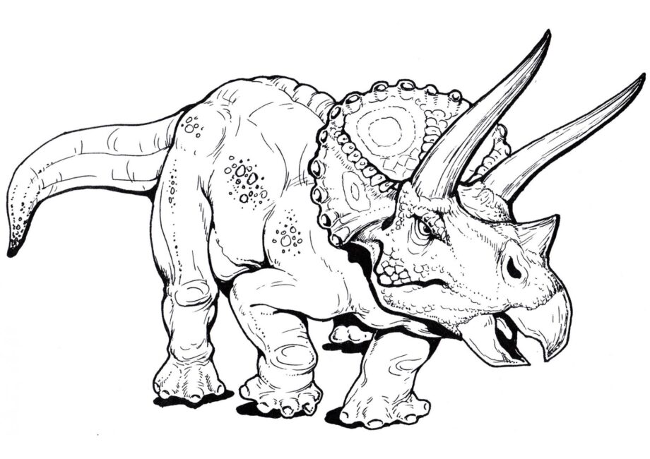 Disegno da Colorare di Triceratops