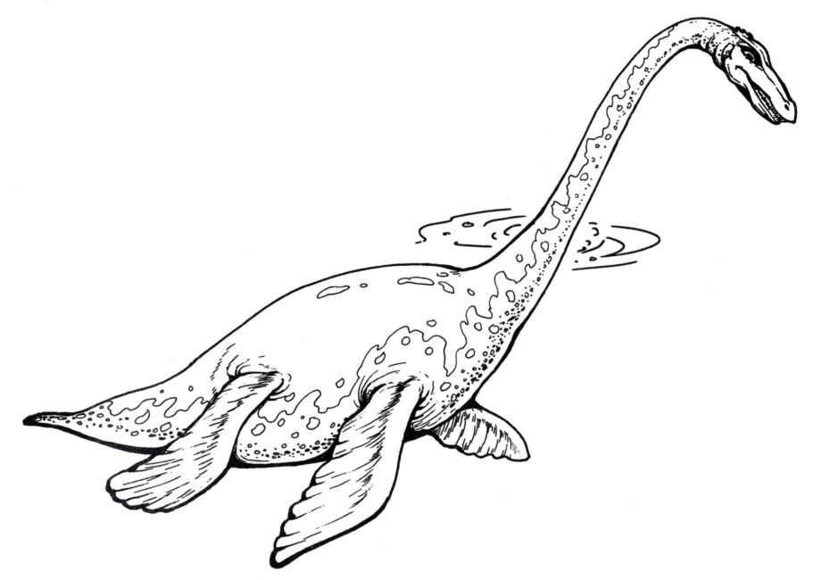 Disegno da Colorare di Plesiosaurus