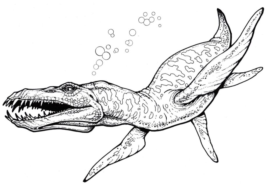 Disegno da Colorare di Liopleurodon