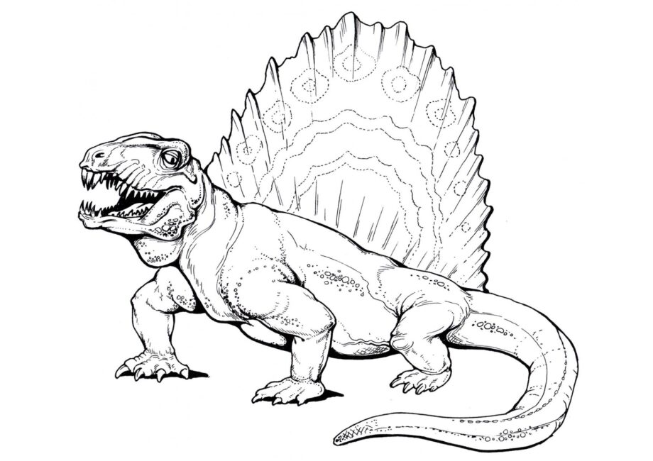 Disegno da Colorare di Dimetrodon