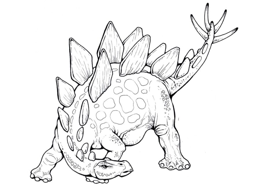 Disegno da Colorare di Stegosaurus