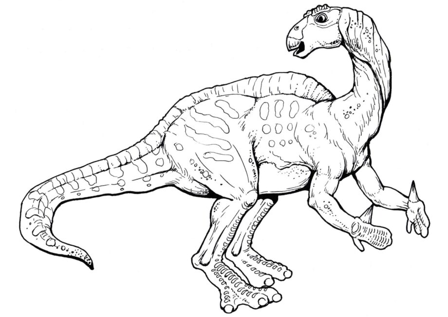 Disegno da Colorare di Iguanodon