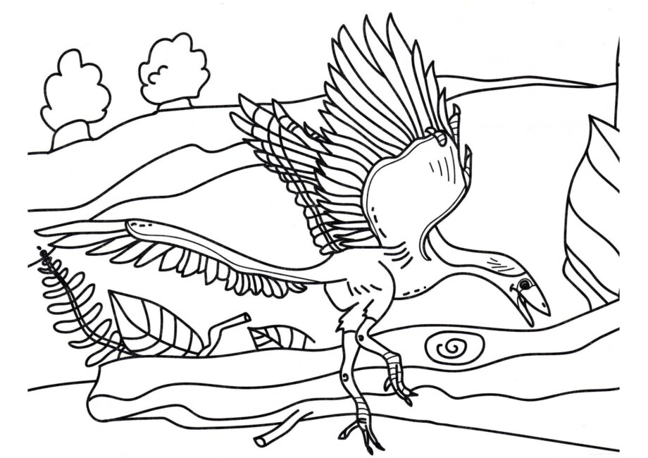 Disegno da Colorare di Archaeopteryx